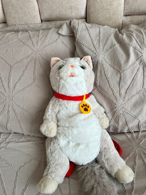 Gatito gris claro